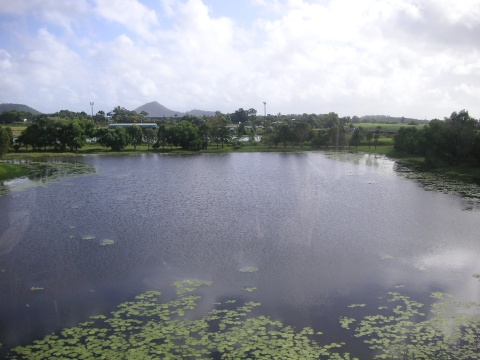 s_A_PICT0139.jpg
